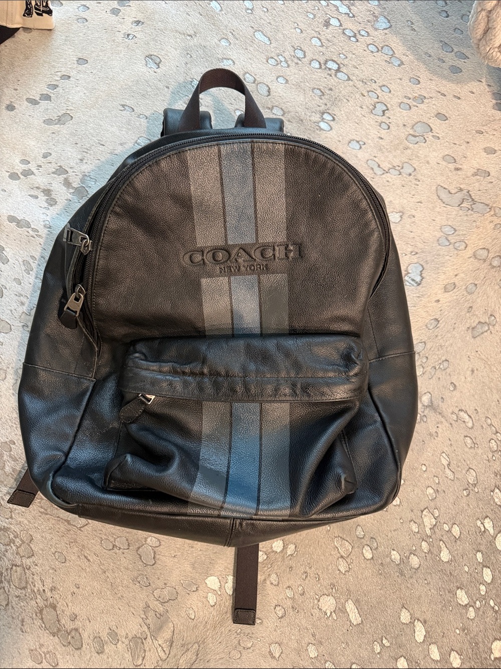 Coach Leather Varsity Stripe Backpack